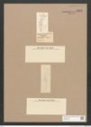Diatomeae indet. Zeichnungen Sammlung Grunow Nr. 3333 (NHMW-BOT-W0370839)